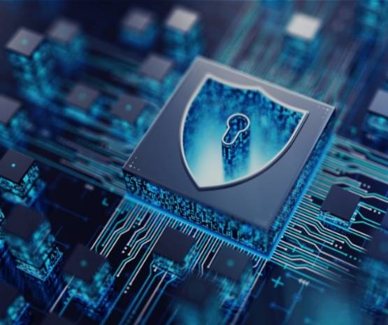 Header: TP-Link Sicherheitslücke