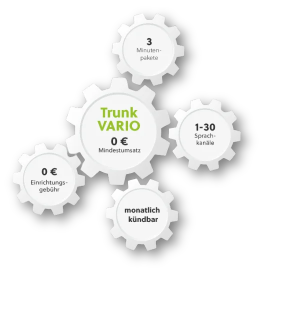 fonial Trunking Preis