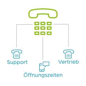 IVR Schema